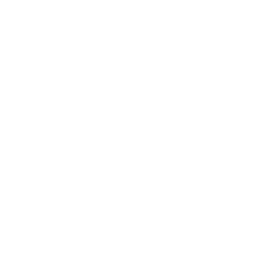 window (1)